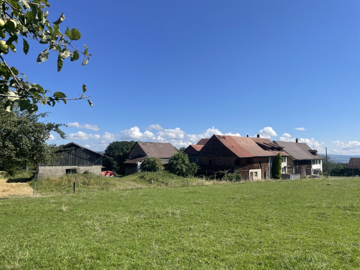 Überbauung Liebensberg, Gemeinde Wiesendangen (Rückbau best. Wohnhaus, Stall und Scheune) Neubau 9 Eigentumswohnungen