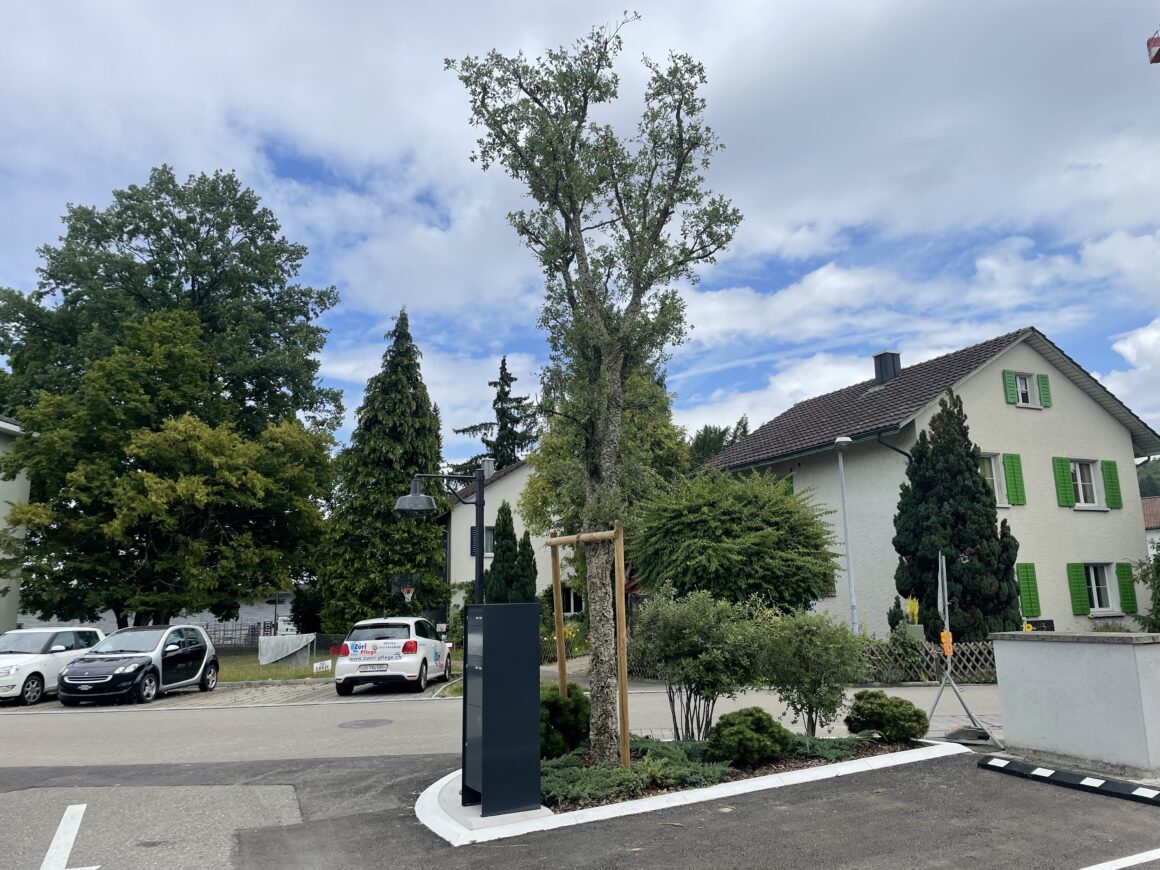 Umbau Gewerbehalle Riedstrasse 9 Frauenfeld, REVA, Scherrer Motos AG
